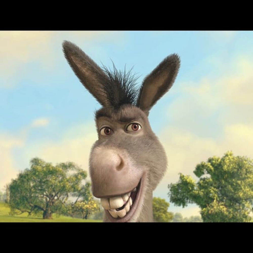 Meet your Posher, Jerry